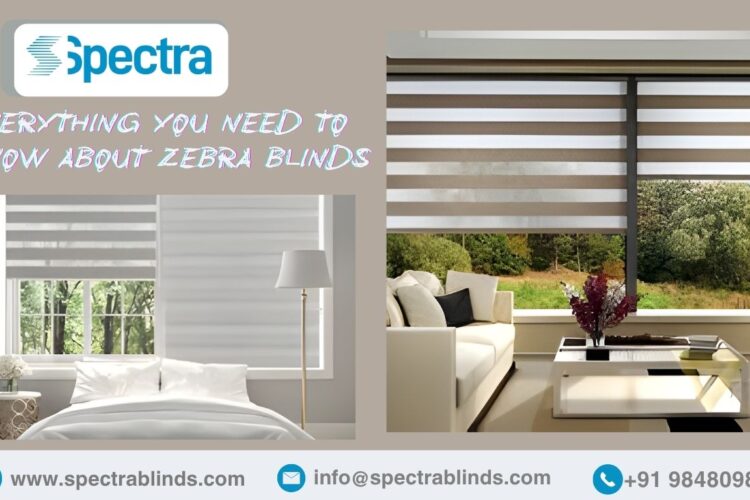 Modern zebra blinds installed in a living room offering natural light and privacy.