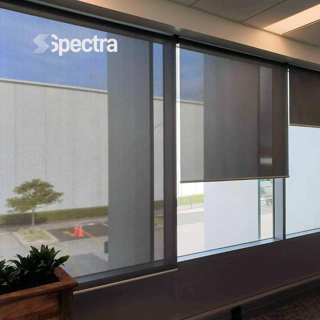 Sunscreen roller blinds installed in a modern office
